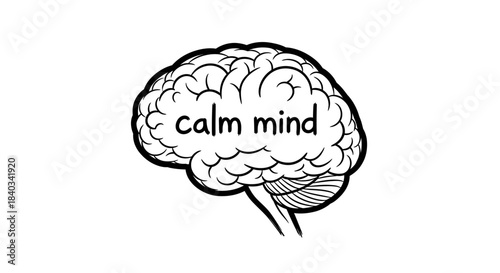 Brain Illustration with Calm Mind Text, Mental Wellness Concept.