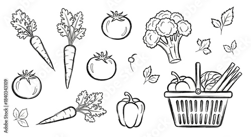 Collection of Fresh Vegetables Hand Drawn Sketch Style.