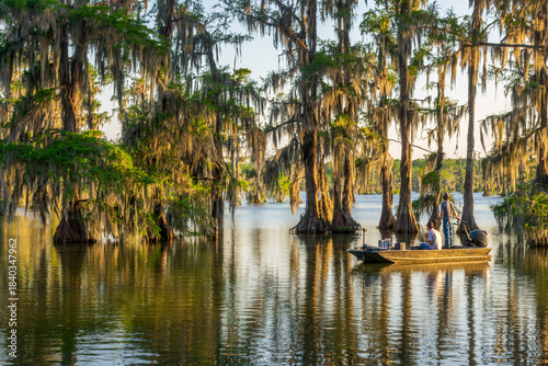 Cuadro en lienzo Fishing on a boat at Lake Martin, Cypress Island Preserve, Cypress swamp scenic