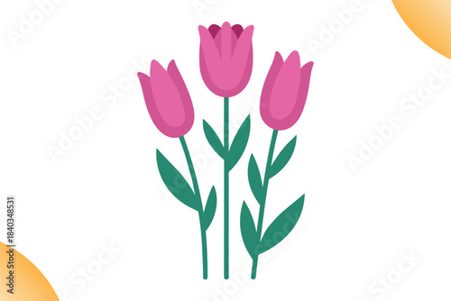 bouquet of tulips vector