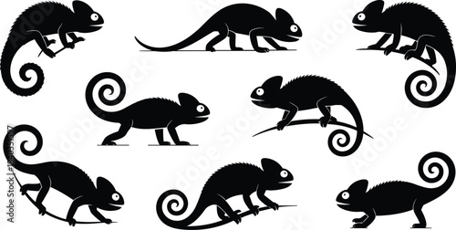 Chameleon silhouette vector, curled tail reptile icons, climbing lizard illustration, exotic species design set, cad drawing flat vector illustration