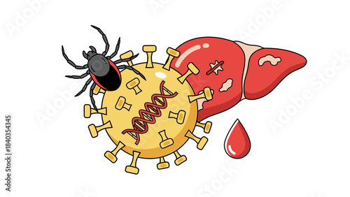 Viruses and Liver Disease: Vector Illustration of a Tick Bite and a DNA/RNA Virus