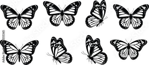 Black and White Butterfly Silhouette Icon Set Featuring Wing Pattern Variations for Nature Study, Entomology, Art, and Design Applications