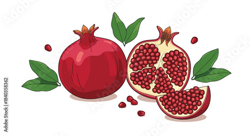 Detailed illustration of a fresh ripe pomegranate, showing a whole fruit, a juicy half, a slice, and scattered ruby-red seeds.