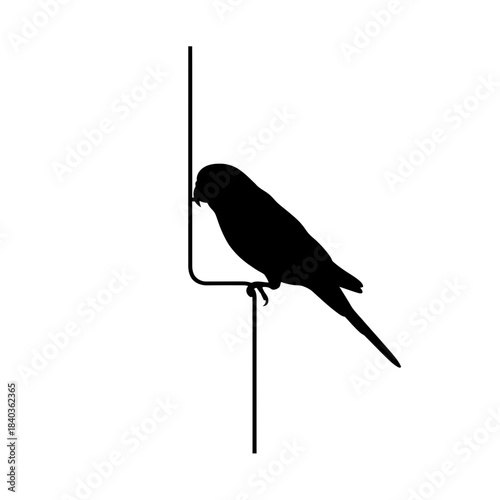 Budgie silhouette vertical pull string concept vector illustration
