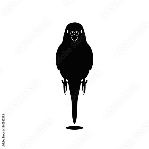 Budgie silhouette top view walking shadow play vector illustration