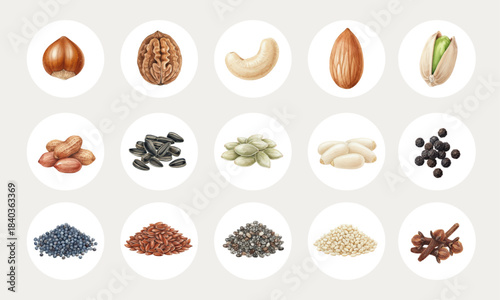 Watercolor Nuts, Seeds, and Spices Collection for Healthy Eating