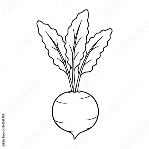Beetroot vegetable outline icon. Simple linear vector of fresh root superfood with leaves for detox juice logo, healthy diet, and farm.