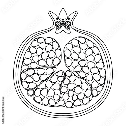 Pomegranate fruit outline icon. Simple linear vector of exotic superfood with seeds for organic logo and ayurveda.