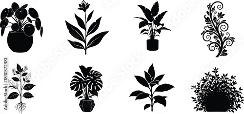 Botanical illustrations of various potted houseplants in a minimalist black and white style
