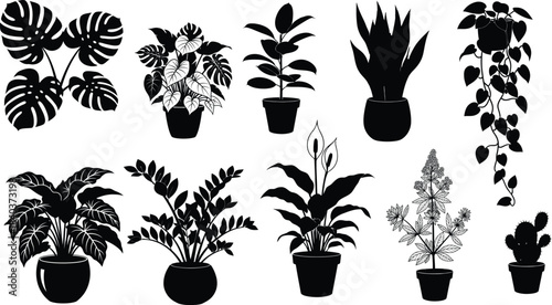 Collection of potted indoor plants in black silhouette against a white background
