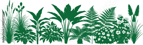 Stylized tropical foliage illustration with various green plants and fern leaves on white background