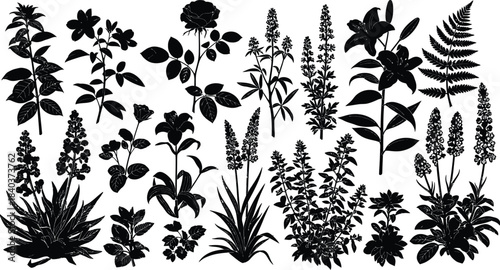 Vintage botanical illustration of various wildflowers and foliage in a dense arrangement