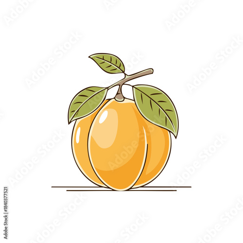 Apricot Still Life Artwork Fresh Fruit on Branch with Leaves Flat Design Style
