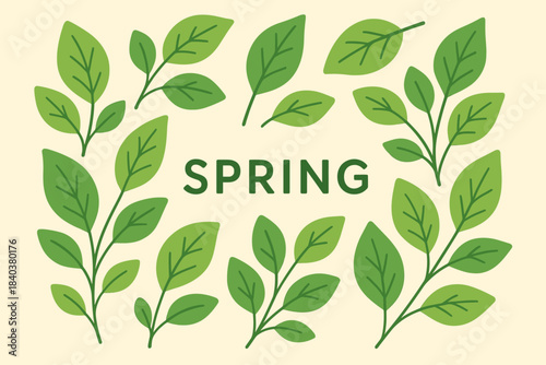 Stylized illustrations of spring leaves, for decoration, postcards, or spring themes. Everything is very fresh, delicate, and joyful, just like spring.