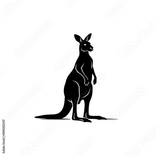 Kangaroo silhouette standing alert with ear tilt vector illustration