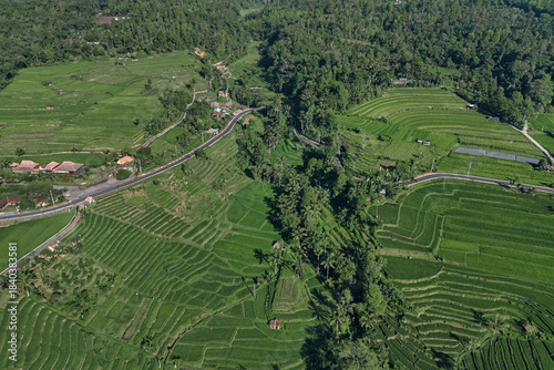 Aerial Rice Terraces In Ubud Bali Showcase Layered Emerald Paddies, Winding Rural Roads, Scattered Huts, Dense