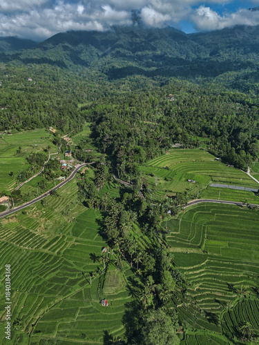 Aerial Rice Terraces In Ubud Bali Showcase Layered Emerald Paddies, Winding Rural Roads, Scattered Huts, Dense