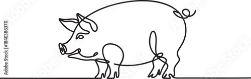 Continuous line drawing of pig standing farm animal swine livestock