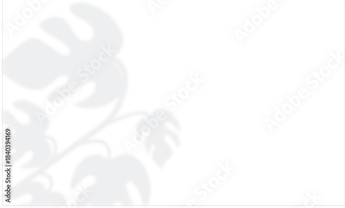 Monstera leaf shadow overlay on white background. Soft blurred shadow of monstera leaves cast on a white background, perfect for natural overlays, modern layouts, and subtle design accents.

