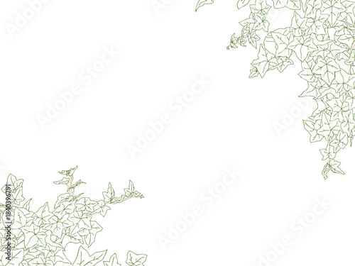 アイビーの線画フレーム①ななめ_カラー