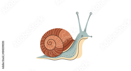 Delicate illustration of a gray blue snail with a large brown spiral shell gracefully gliding across a white background.