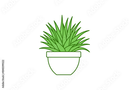 Simple green succulent plant in a white pot, vector illustration