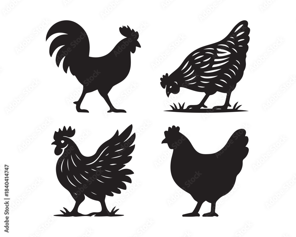 Fototapeta premium hen & rooster silhouette, hen & Chicken family, farm bird silhouettes, large tail feathers rooster, crowing rooster vector silhouette design set collection, hen silhouette, rooster silhouette