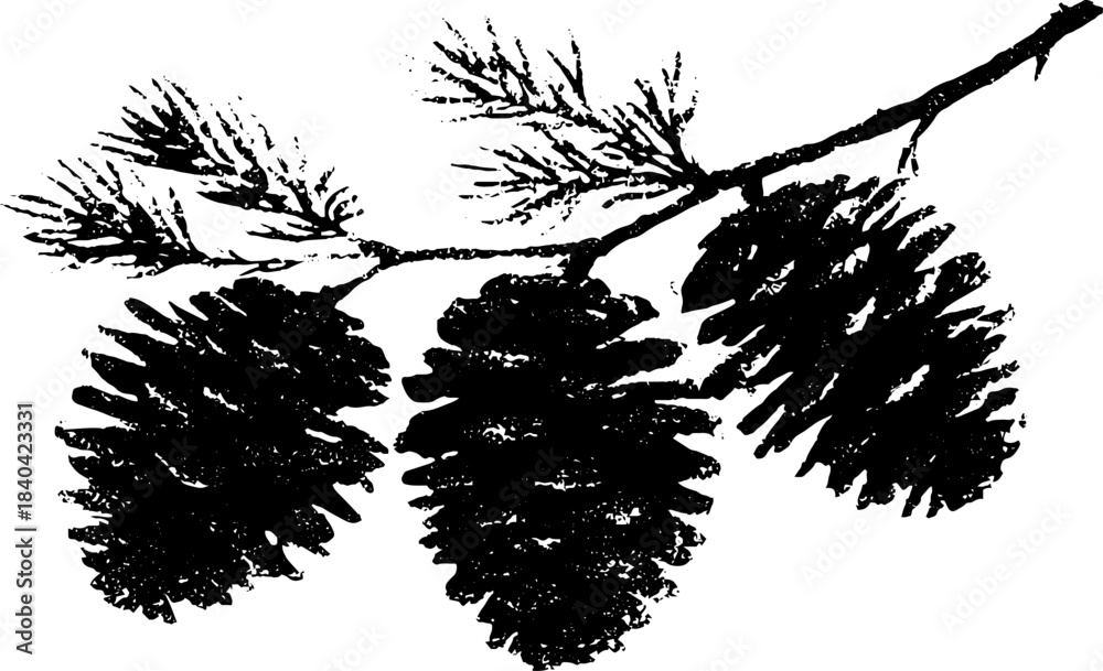Naklejka premium Black and white pine cone stencil illustration with branch for nature design