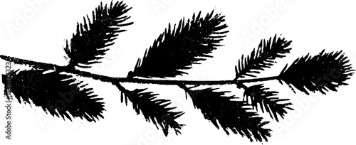 Black and white pine branch stencil illustration for nature-inspired design