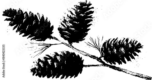 Monochrome pine cones stencil art on branch for nature-inspired design