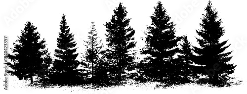 Black and white pine needle tree silhouette for urban art design
