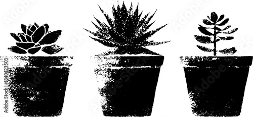 Black and white stencil art of potted succulents for home decor or design