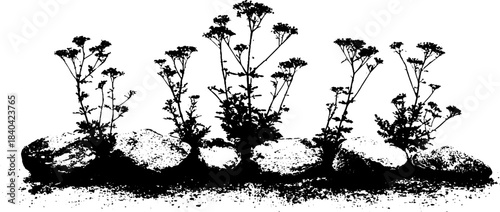 Resilient mountain flora stencil illustration