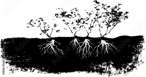 Black and white stencil of erupting root bundles in urban art style
