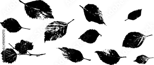 Black and white stencil art of scattered autumn leaves for seasonal design