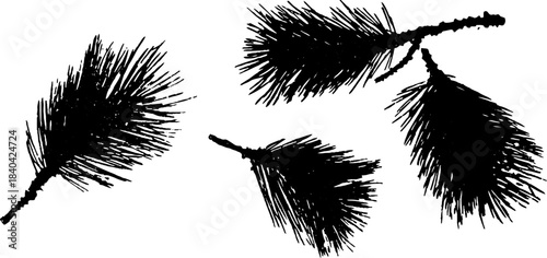 Black and white pine needles stencil illustration for nature-inspired designs