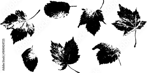 Black and white autumn leaves stencil for seasonal design