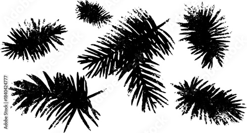 Black and white stencil art of scattered spruce needles for nature design