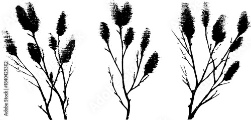 Black and white willow branch stencil art for nature-inspired designs