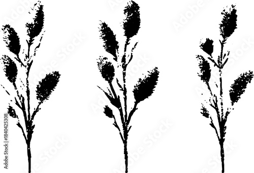 Black and white stencil design of slender willow branch trio for artistic projects