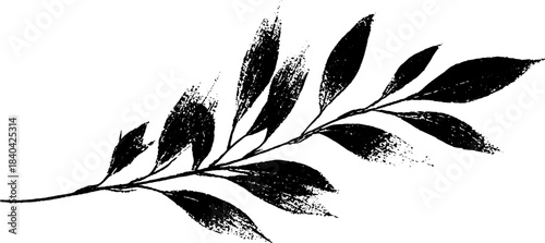 Black and white willow branch stencil design for nature inspired art and decoration