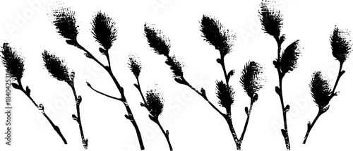 Black and white stencil art of slender willow branches for contemporary design