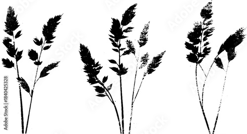 Graceful black and white willow branch stencil for nature design projects