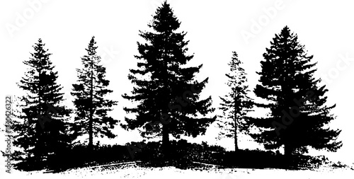 Black and white stencil of stylized northern pine forest for design and decor