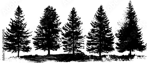 Black and white stencil art of stylized northern pine trees for urban design projects