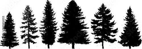 Stylised northern pine trees stencil illustration for nature-inspired designs