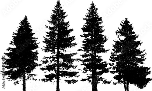 Black and white alpine fir tree stencil for nature and design projects