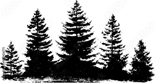 Black and white stencil illustration of tall alpine fir trees for nature-inspired designs