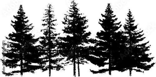 Black and white stencil illustration of tall alpine fir forest silhouettes for nature art design